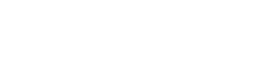 Flash Networks Logo